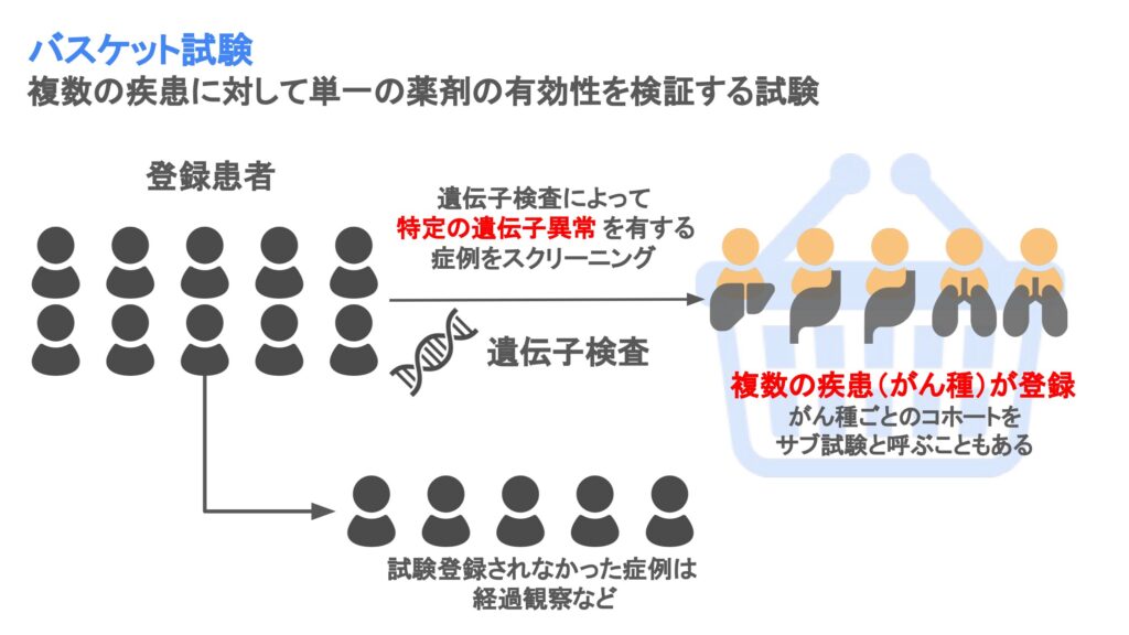 バスケット試験の概要