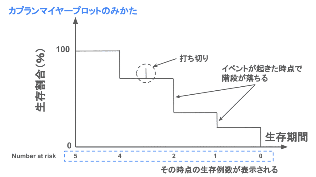 カプランマイヤー曲線の見方