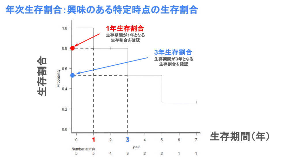 年次生存割合のみかた