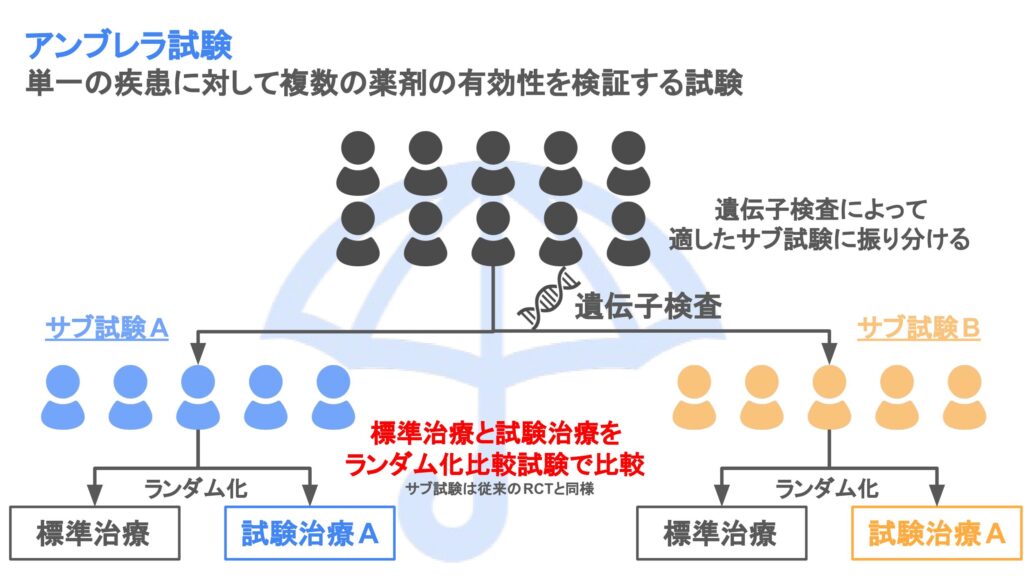 アンブレラ試験の概要